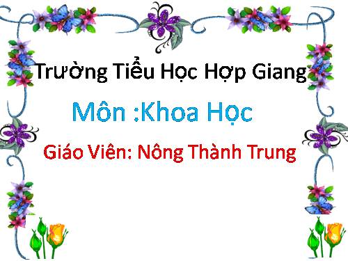 Bài 51. Nóng, lạnh và nhiệt độ (tiếp theo)
