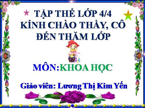 Bài 32. Không khí gồm những thành phần nào?
