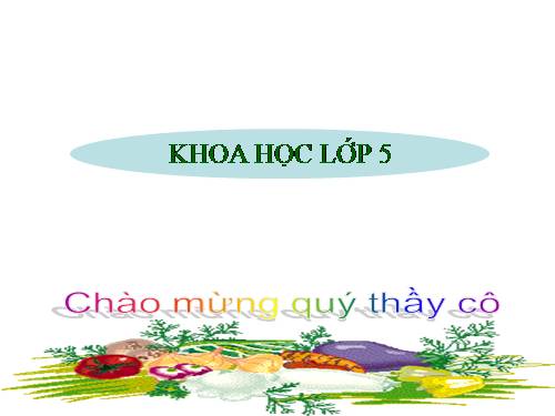 Bài 55 - 56. Ôn tập: Vật chất và năng lượng