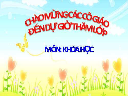 Khoa họclop 4.