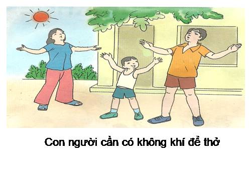 Bài 1. Con người cần gì để sống?