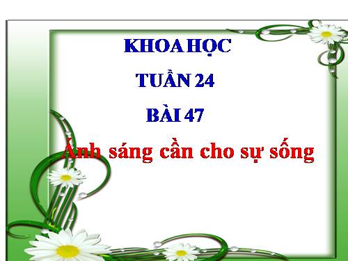 Bài 47. Ánh sáng cần cho sự sống