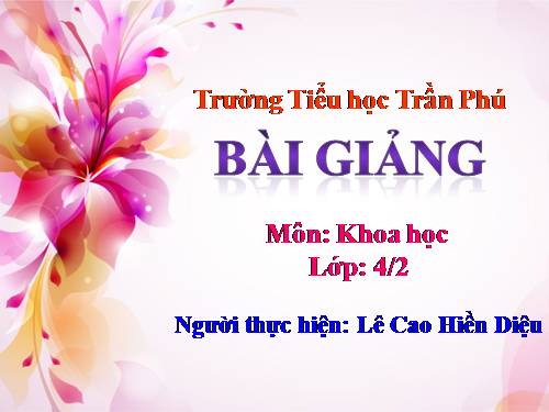 Bài 45. Ánh sáng