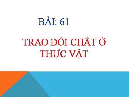 Bài 61. Trao đổi chất ở thực vật