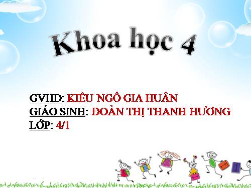 Bài 47. Ánh sáng cần cho sự sống