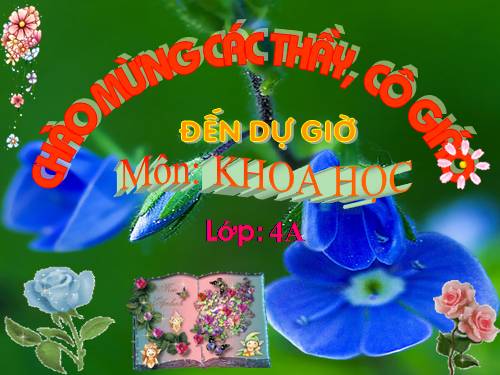Bài 47. Ánh sáng cần cho sự sống