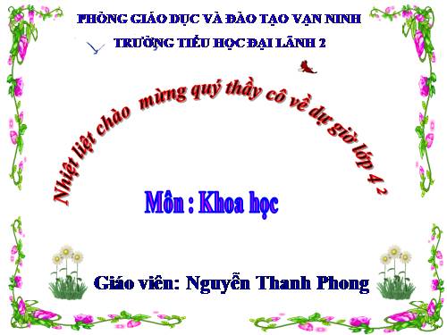Bài 17. Phòng tránh tai nạn đuối nước