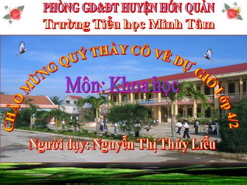 Bài 38. Gió nhẹ, gió mạnh. Phòng chống bão
