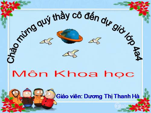 Bài 41. Âm thanh