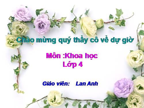 Bài 44. Âm thanh trong cuộc sống (tiếp theo)