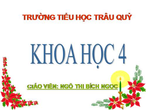 Bài 16. Ăn uống khi bị bệnh