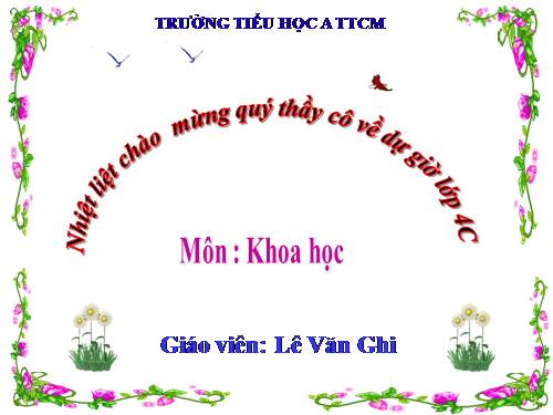 Bài 17. Phòng tránh tai nạn đuối nước