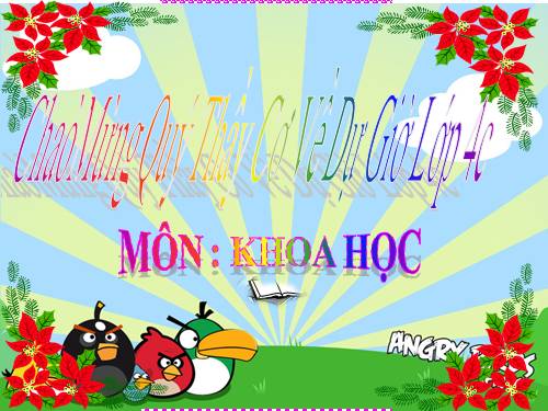 Bài 29. Tiết kiệm nước