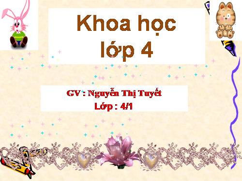 Bài 20. Nước có những tính chất gì?