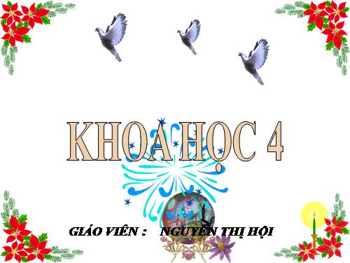 Bài 26. Nguyên nhân làm nước bị ô nhiễm