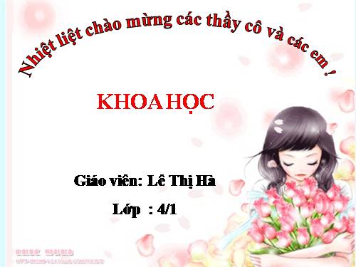 Bài 21. Ba thể của nước