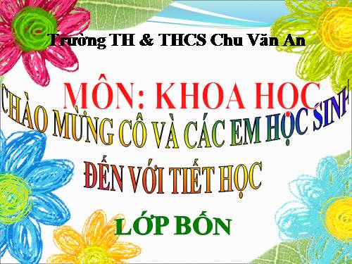 Bài 53. Các nguồn nhiệt