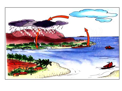 Bài 24. Nước cần cho sự sống