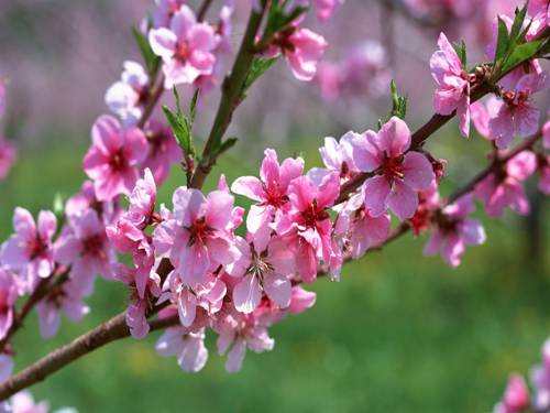 Bài 27. Một số cách làm sạch nước
