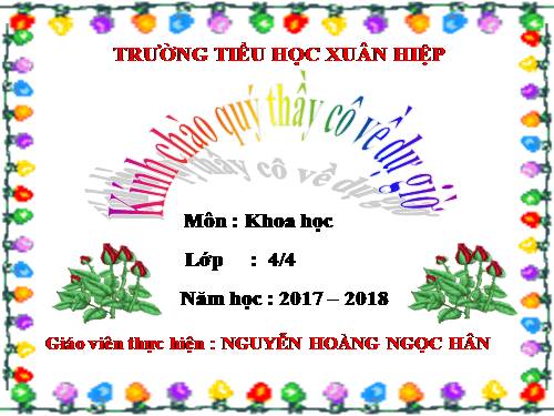 Bài 23. Sơ đồ vòng tuần hoàn của nước trong tự nhiên