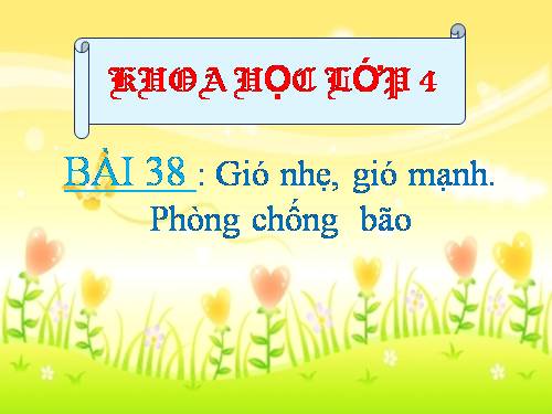 Bài 38. Gió nhẹ, gió mạnh. Phòng chống bão