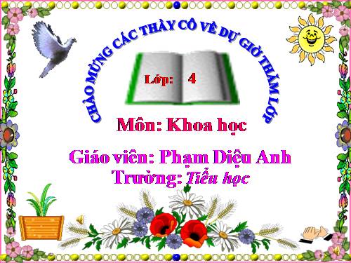 Bài 22. Mây được hình thành như thế nào? Mưa từ đâu ra?