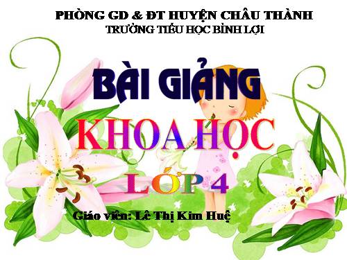 Bài 17. Phòng tránh tai nạn đuối nước