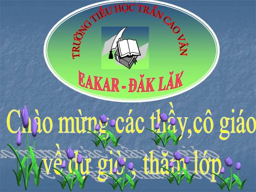 Bài 15. Bạn cảm thấy thế nào khi bị bệnh?