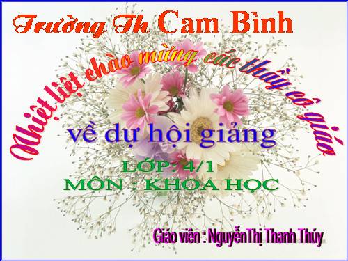 Bài 15. Bạn cảm thấy thế nào khi bị bệnh?