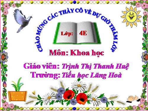 Bài 22. Mây được hình thành như thế nào? Mưa từ đâu ra?