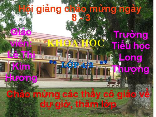 Bài 49. Ánh sáng và việc bảo vệ đôi mắt