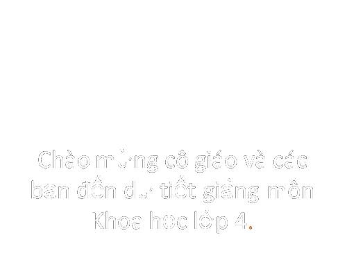 Bài 5. Vai trò của chất đạm và chất béo