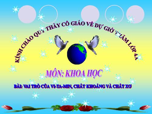 Bài 6. Vai trò của vi-ta -min, chất khoáng và chất xơ