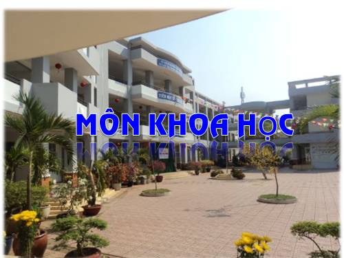 Bài 12. Phòng một số bệnh do thiếu chất dinh dưỡng