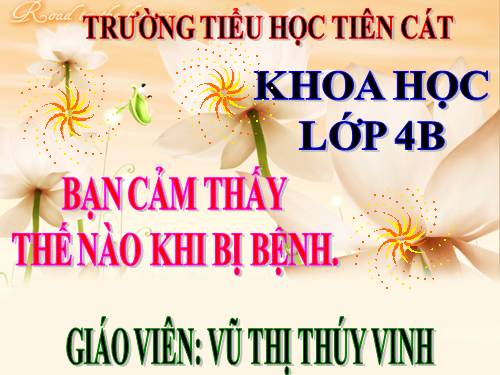 Bài 15. Bạn cảm thấy thế nào khi bị bệnh?