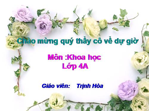 Bài 44. Âm thanh trong cuộc sống (tiếp theo)