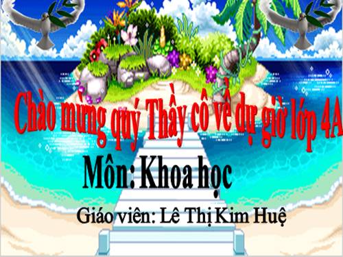 Bài 13. Phòng bệnh béo phì