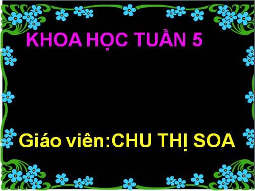 Bài 10. Ăn nhiều rau và quả chín, sử dụng thực phẩm sạch và an toàn