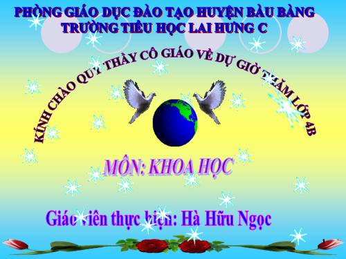 Bài 6. Vai trò của vi-ta -min, chất khoáng và chất xơ