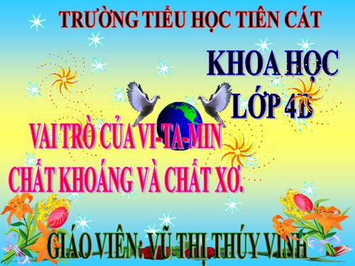 Bài 6. Vai trò của vi-ta -min, chất khoáng và chất xơ