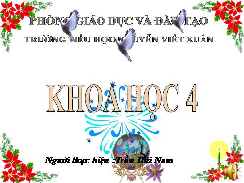 Bài 26. Nguyên nhân làm nước bị ô nhiễm
