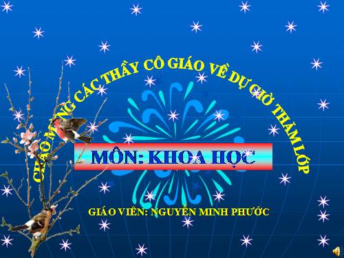 Bài 16. Ăn uống khi bị bệnh