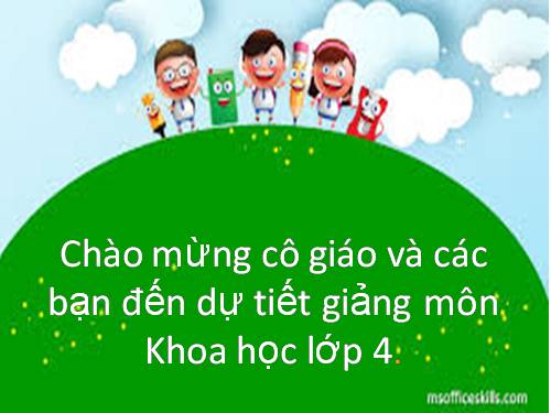 Bài 5. Vai trò của chất đạm và chất béo