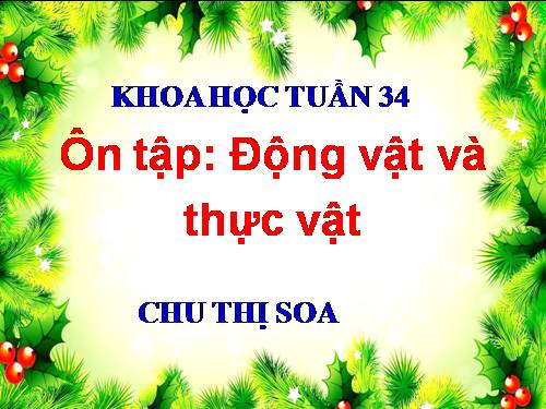 Bài 67 - 68. Ôn tập: Thực vật và động vật