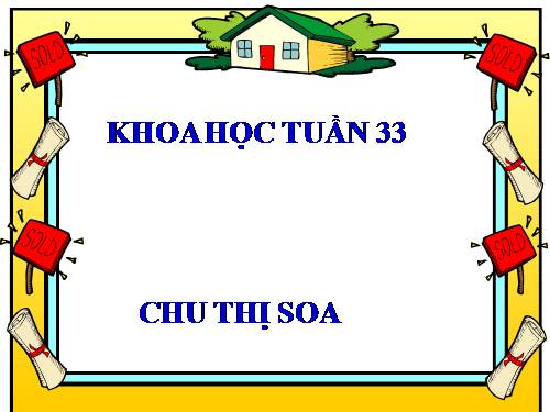 Bài 65. Quan hệ thức ăn trong tự nhiên