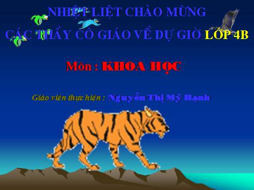 Bài 64. Trao đổi chất ở động vật