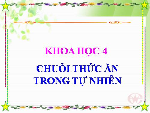 Bài 66. Chuỗi thức ăn trong tự nhiên
