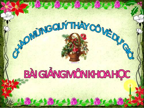 Bài 66. Chuỗi thức ăn trong tự nhiên