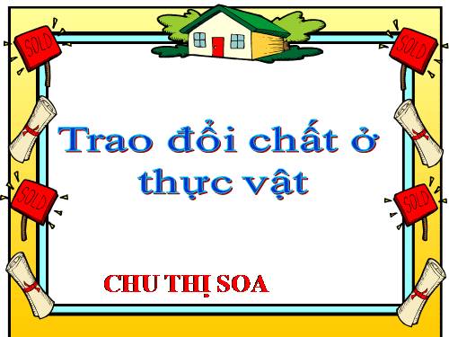 Bài 61. Trao đổi chất ở thực vật