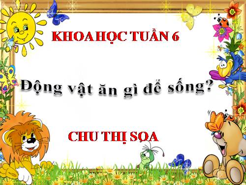 Bài 63. Động vật ăn gì để sống?